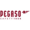 PEGASO SAFETY